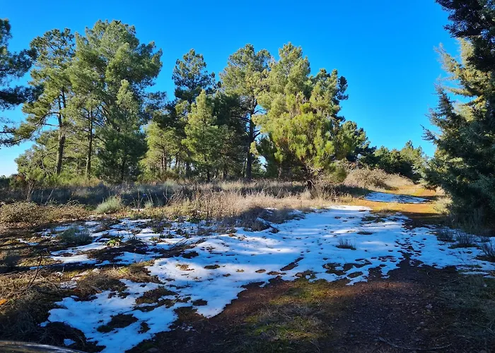 Hébergement de vacances Casa Da Pracica, Serapicos *